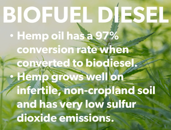 Hemp biodiesel